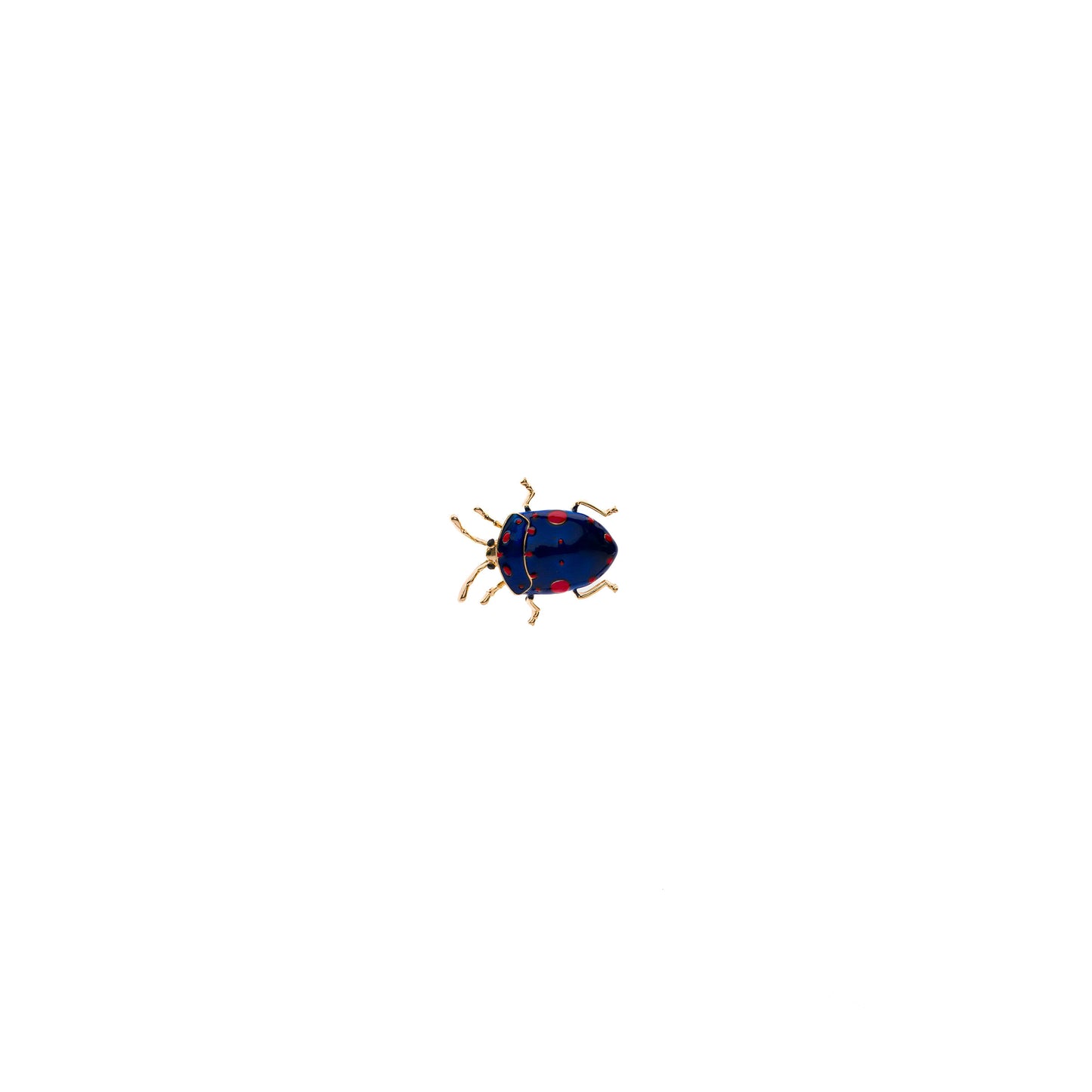 Pin Secret Garden Blue Bug
