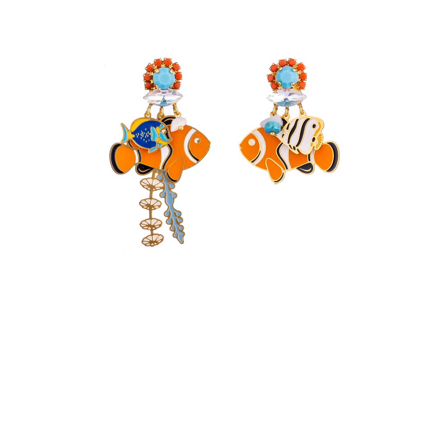 Acqua Nemo
