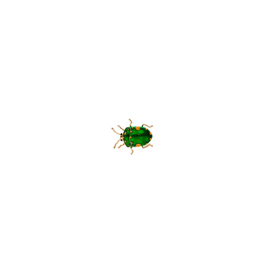 Pin Secret Garden Green Bug